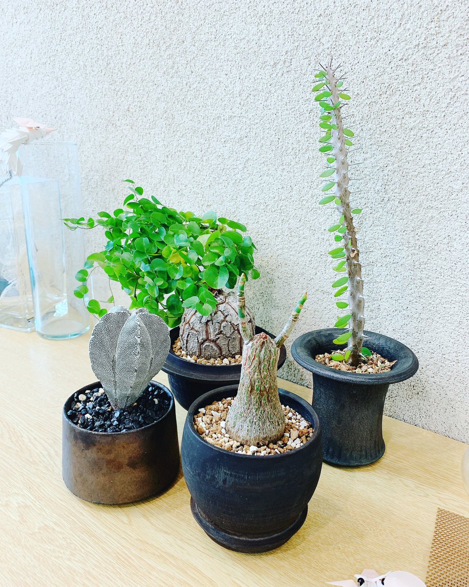 Balance Hair Salon Balancehairsal1 Twitter