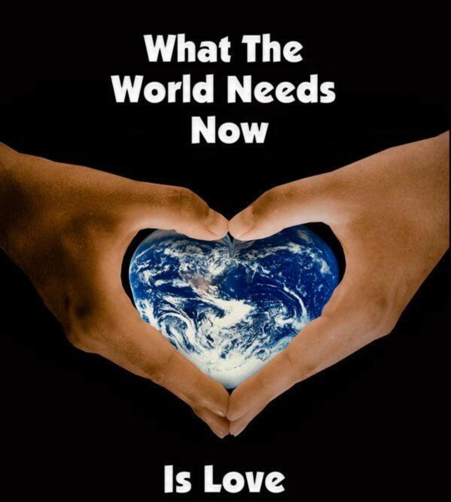Come aliver animal world инструкция. What the world needs now is love. What s the world needs. What the world needs now is love. What s the world needs.