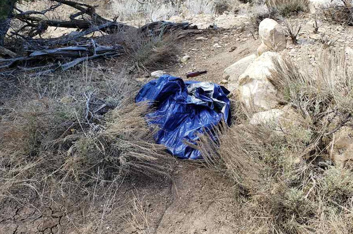UtahDWR's tweet photo. #POACHING: Our conservation officers are seeking information from the public after two doe deer were illegally killed in #CarbonCounty. Story: https://t.co/Ob7Yv8VNu6 #Utah #Wildlife https://t.co/1z1hNS1hBG