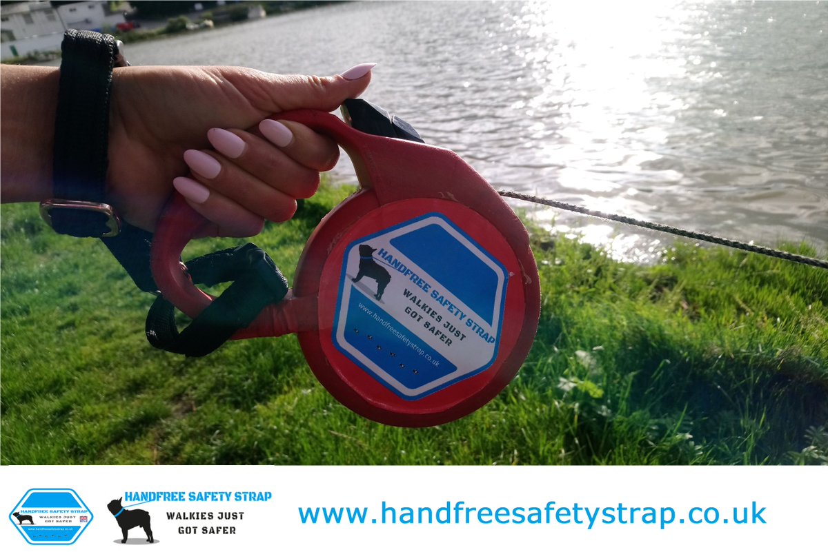Dropped your retractable lead,had it pulled from your hand to see your dog running off scared❓ 🐾🐶well no more with a Handfree Safety Strap. #Dog #DogLife #DogsofTwittter #dogwalker #dogwalking #dogs @readydoggygo