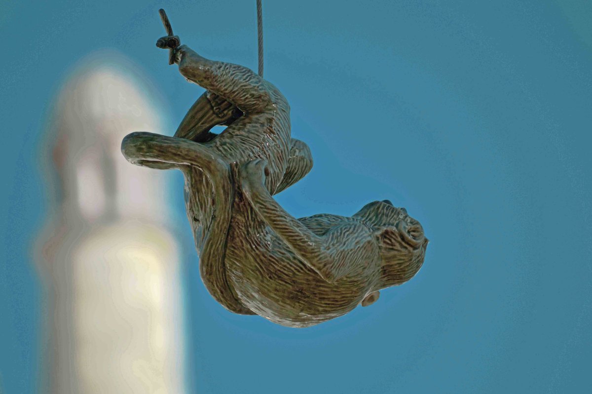 GoCaldas tweet media