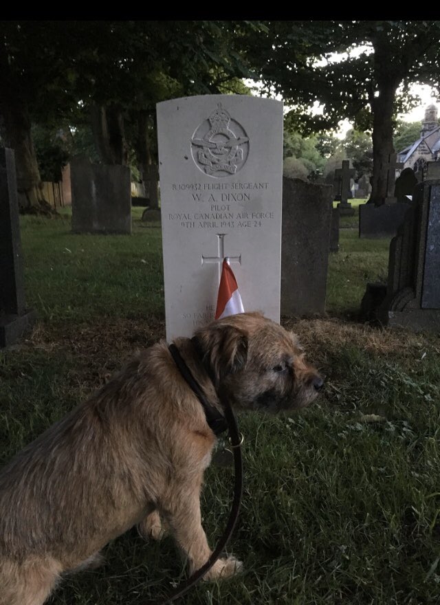 I found this grave in my local churchyard years ago.Walter Alexander Dixon was a RCAF pilot & died when his plane crashed at my local airfield in WW2Every year I place a small wooden cross on his grave. Today, I was sent his photo & told his relatives want to contact me.