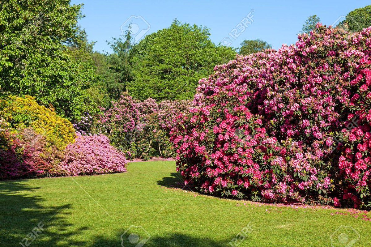 MeaningfulChang's tweet photo. What has everyone been up to over the weekend in isolation?

We hope you got some sunshine… Either from your window, garden, balcony or on your hour’s exercise ☀️

#Sunshine #SpringTime #SunnyDay #Coronavirus #Covid19 #SelfIsolation #SocialDistancing #StayHome https://t.co/LxAMb0WfSV
