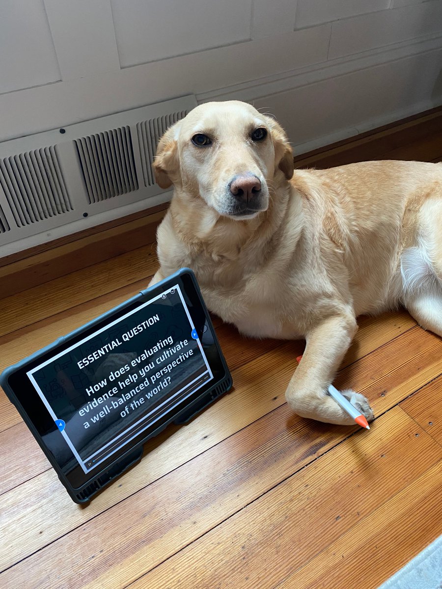 PrairieLMC's tweet photo. Caught Ginny working hard on Mrs. Winter's Digital Citizenship lesson in NearPod... She loves her Logitech Crayon just as much as our Students! @barrington220 @PrairieLMC @LauraWinter312 #prairiepride https://t.co/WWWn8g560X