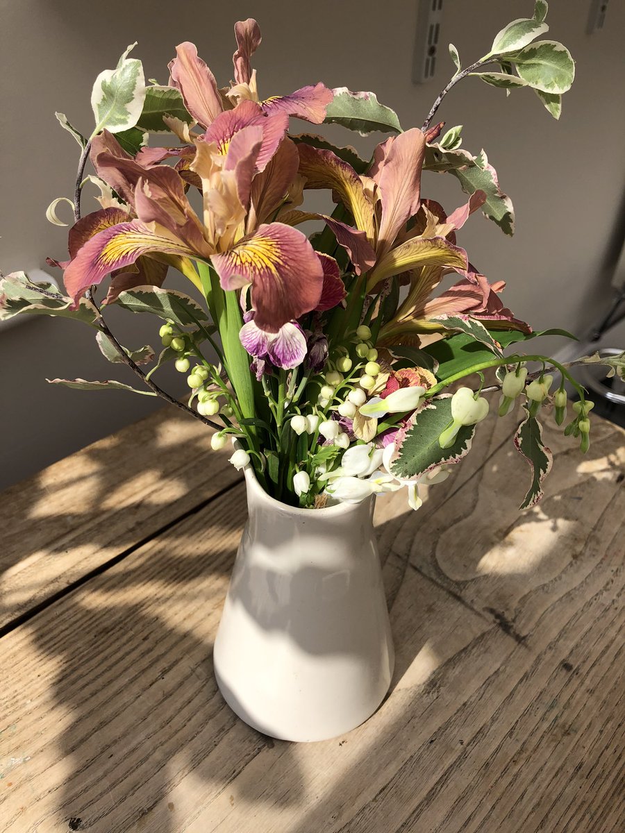 jem_hillenbrand's tweet photo. Found this little bunch on my doorstep 🌸#tuzzymuzzy #beautiful #grateful https://t.co/NjJCh7KM5Z