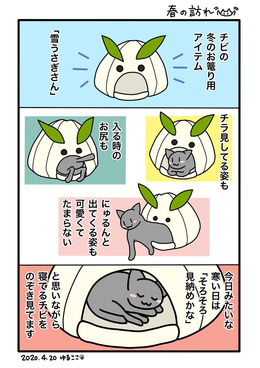 猫エッセイ