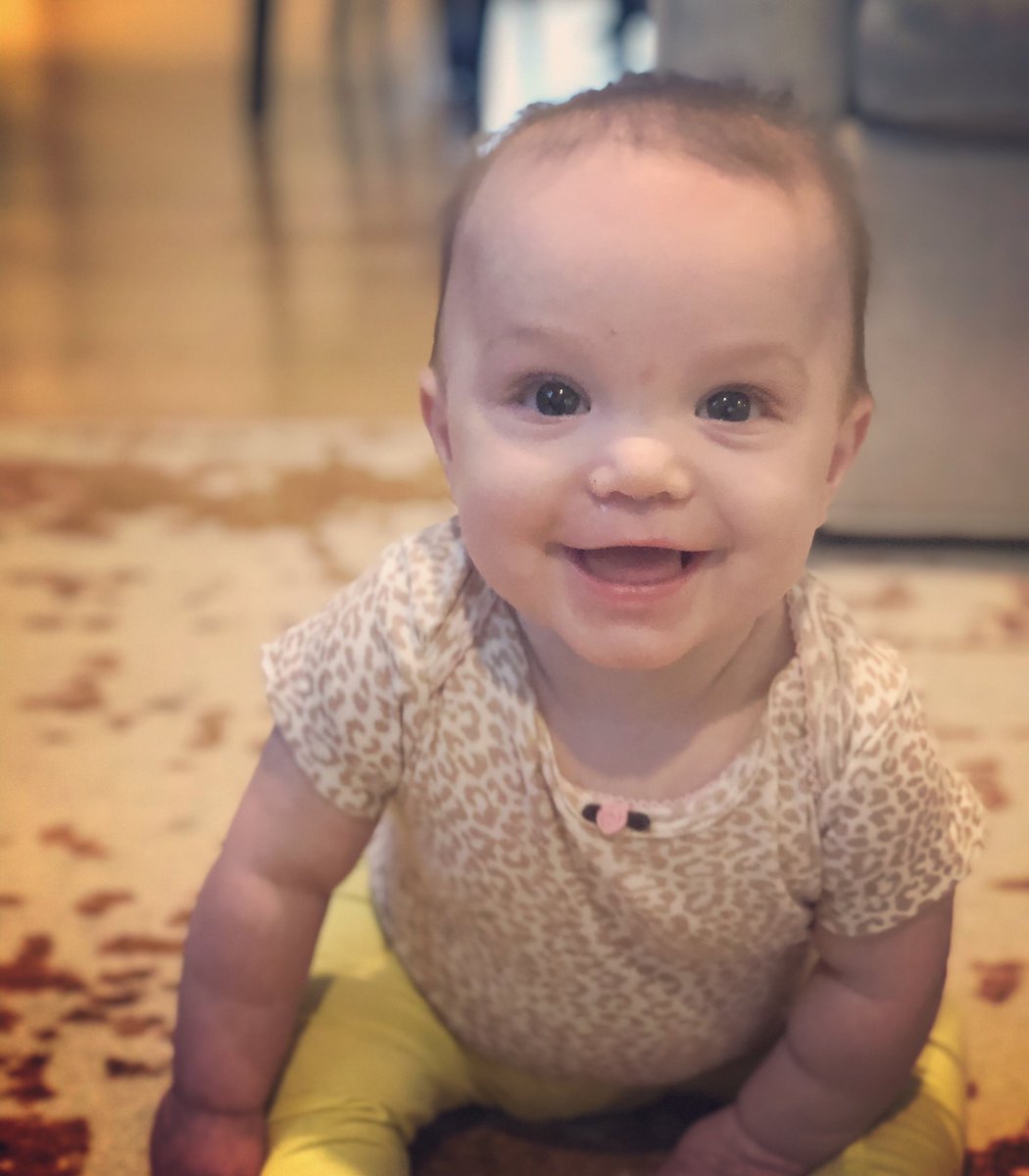 Mrs_WRandall's tweet photo. 6 whole months with this sweet girl! And though she be but little, she is fierce. - William Shakespeare 💖#sixmonthsold #haydenjune https://t.co/2Pv4BrPkLt
