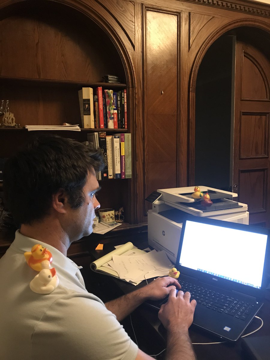 WashUBME's tweet photo. The #debuggingducks may have been left behind by students, but no worries! They've been assisting our faculty as we enter the final week of classes for the spring semester.
We wish everyone good luck and a strong finish! πͺ https://t.co/33gLTE62wL