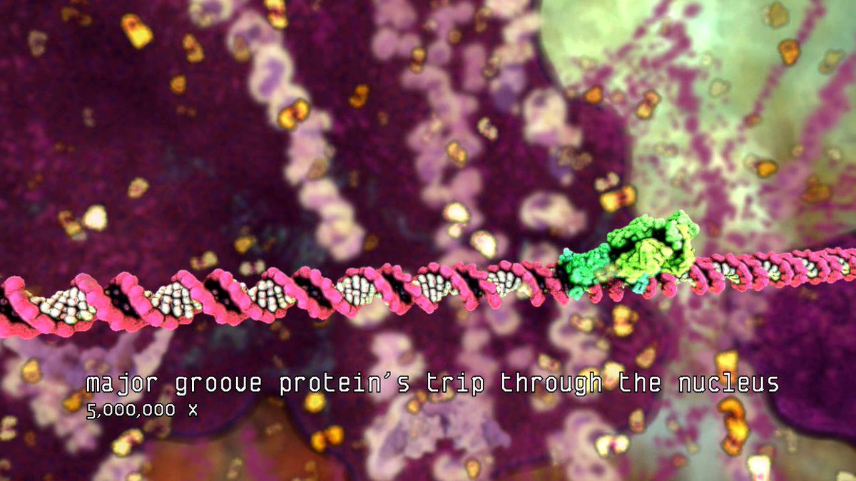 Hollow (2012)An animated video illustrating the molecular composition of the human body, starting from the blood tissue and showing the DNA as various proteins are sent to the nucleus. At one point in the video a reproduction of Björk's face, made from various proteins