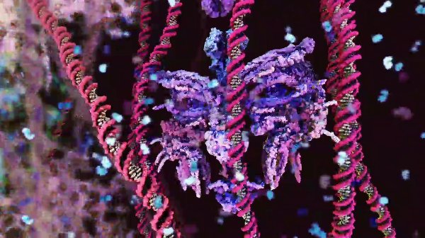 Hollow (2012)An animated video illustrating the molecular composition of the human body, starting from the blood tissue and showing the DNA as various proteins are sent to the nucleus. At one point in the video a reproduction of Björk's face, made from various proteins