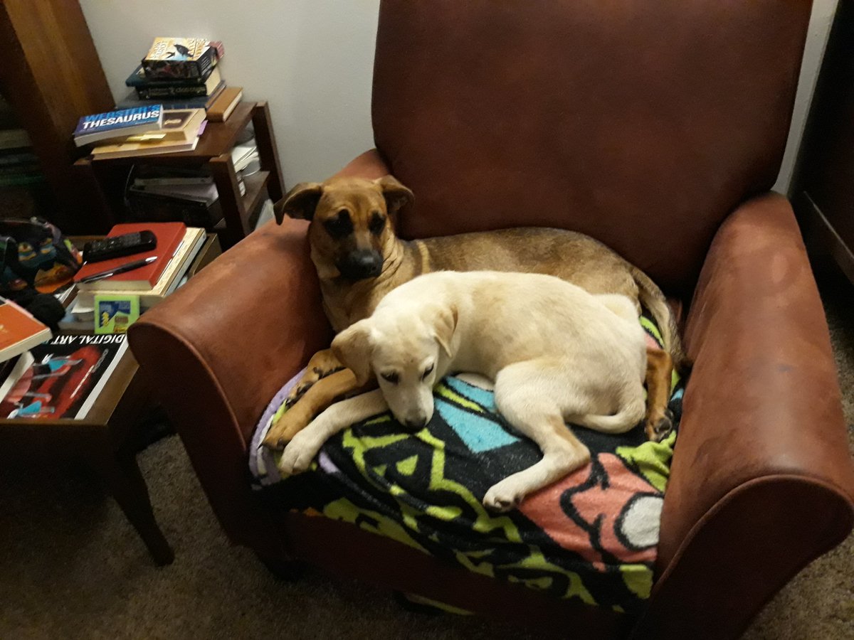 Who has writing prompts? I'm hoarding them for a project. 

Here are two of my dogs.