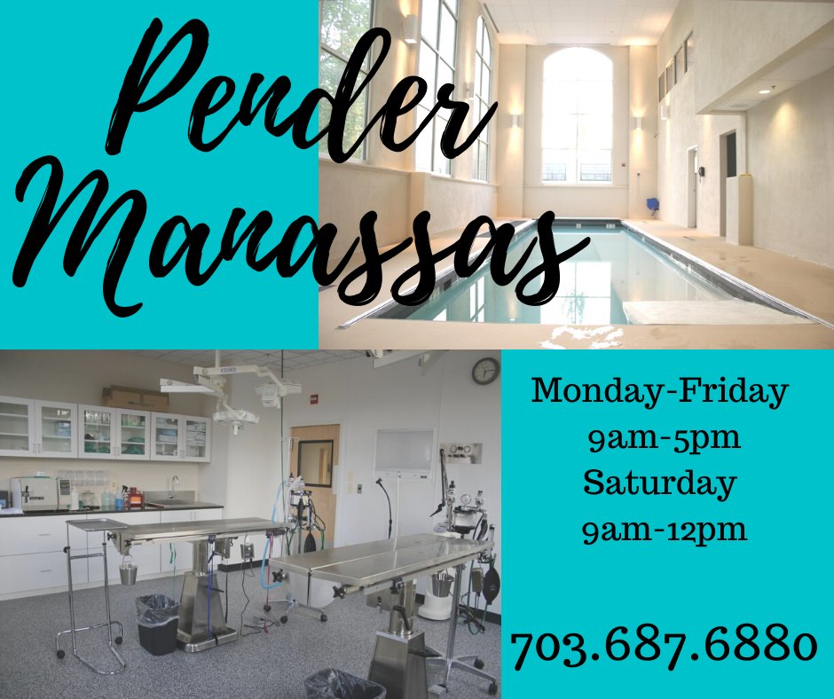 pendervet's tweet photo. #Pender #Manassas is now Open! They are practicing #HandsFree Appointments during this time. 

Give them a call at 703-687-6880, they would love to hear from you! 

https://t.co/HmaWAJblWw 

#PenderProud #PenderVet https://t.co/jFUn2AeUZN