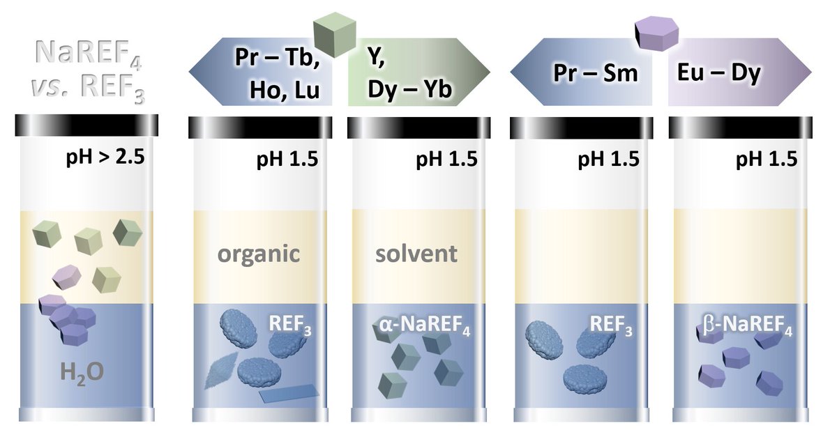 NanoLightLab's tweet photo. Maybe not as chemically stable as we thought? Check out our work on Water dispersible ligand-free rare earth fluoride nanoparticles: water transfer versus NaREF4-to-REF3 phase transformation - now published in Dalton Transactions https://t.co/AOupUip6oc https://t.co/g1fh1LDTfn