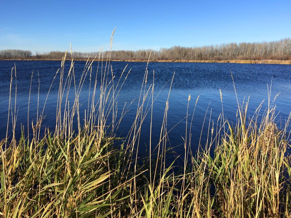 Katie White (she/her) tweet media