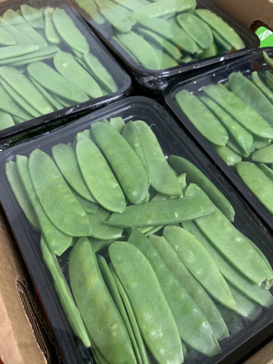 wellfreshuk's tweet photo. Some lovely pre packed Fine Beans, Mange and Snaps coming through at the moment...#howfresh https://t.co/TgfkOrQAuA
