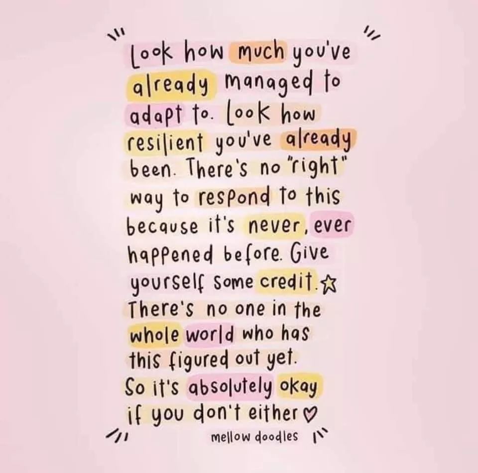 anna_nolan2's tweet photo. https://t.co/3TkOm9UKHk