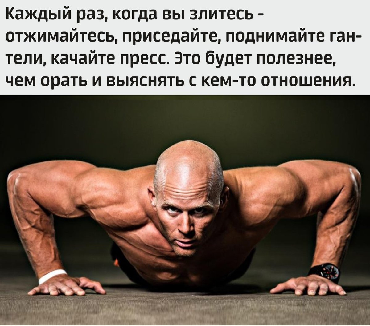 Выбираем правильно (@vybratpravilno) on Twitter photo 