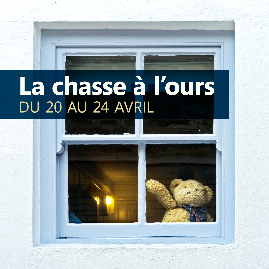 CscProvidence's tweet photo. Dans le cadre de la lecture du livre La chasse à l’ours, des élèves de l'@EECPavdesJeunes feront une promenade en famille dans leur quartier afin de compter les ours qu’ils observent.🧸Nous demandons aux gens de Belle Rivière de bien vouloir afficher un ourson dans une fenêtre! https://t.co/n56luwbbrE