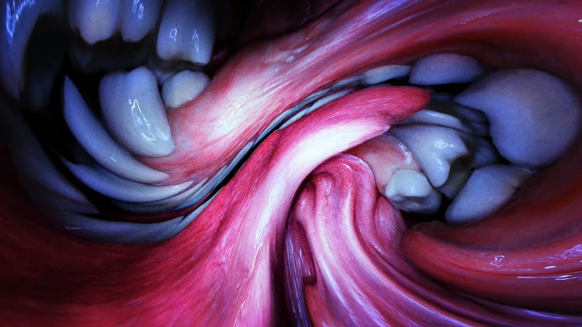 Mouth Mantra (2015)Shot partially in a mock-up of the singer's mouth, also contains parts in which Björk is shown dancing in a white dress. A virtual reality version of the video premiered at the Björk Digital exhibition