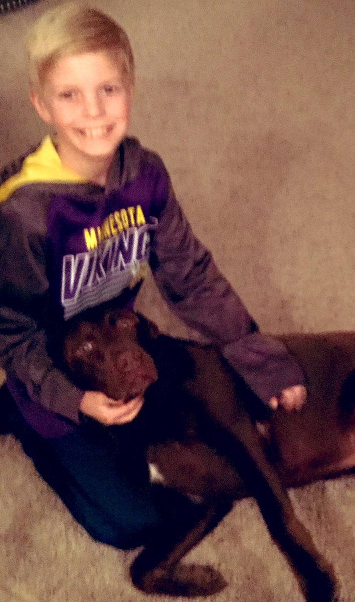bjloe82's tweet photo. Discovery Elementary is having a virtual spirit week. Monday is pet selfie day! Here are Parker and Remmie 😊  #trailblazeon https://t.co/uqqTfZwe1t
