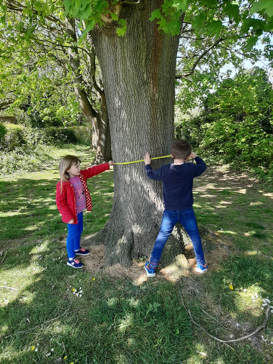 SarahDuffey5's tweet photo. Observing Trees! Year 2 this is part of your science lesson tomorrow. What trees can you find? Can you name them? @ssascommunity @Miss_JHolmes https://t.co/VUTlAHMPSy