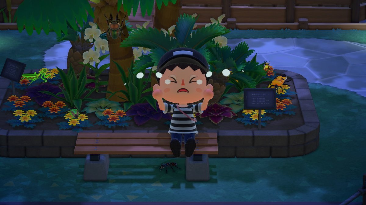 クワガタ あつ 森 ニジイロ