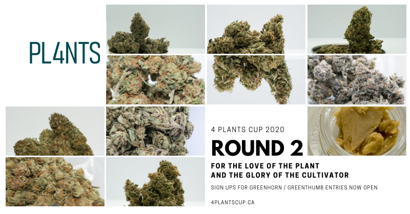 4plantscup's tweet photo. Happy 420! 

4 Plants Cup 2020 sign ups now open: https://t.co/RY0gXL5Zix https://t.co/m8AUygqWQ0