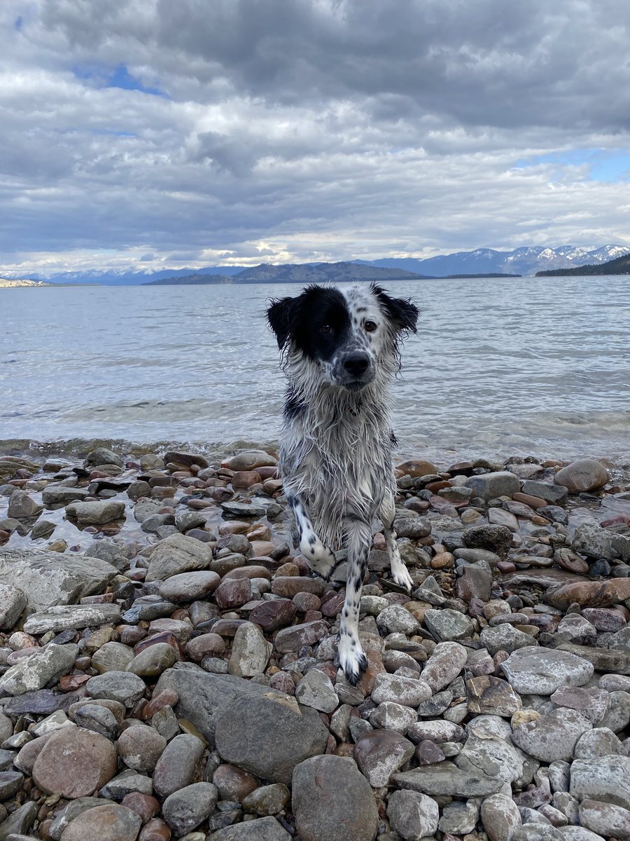 Steve is 1 today so we got him a glacial lake swim yesterday. Say happy birthday to Steve.