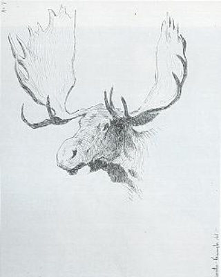 If you are looking for something for your homeschooler (or maybe for you) to color or sketch, try Moose Head by Frederic Remington.  
We'd love to see how it turns out in the comments 👇 

Moose Head
1889
Pen and ink on paper
 #MuseumfromHome #littleartist