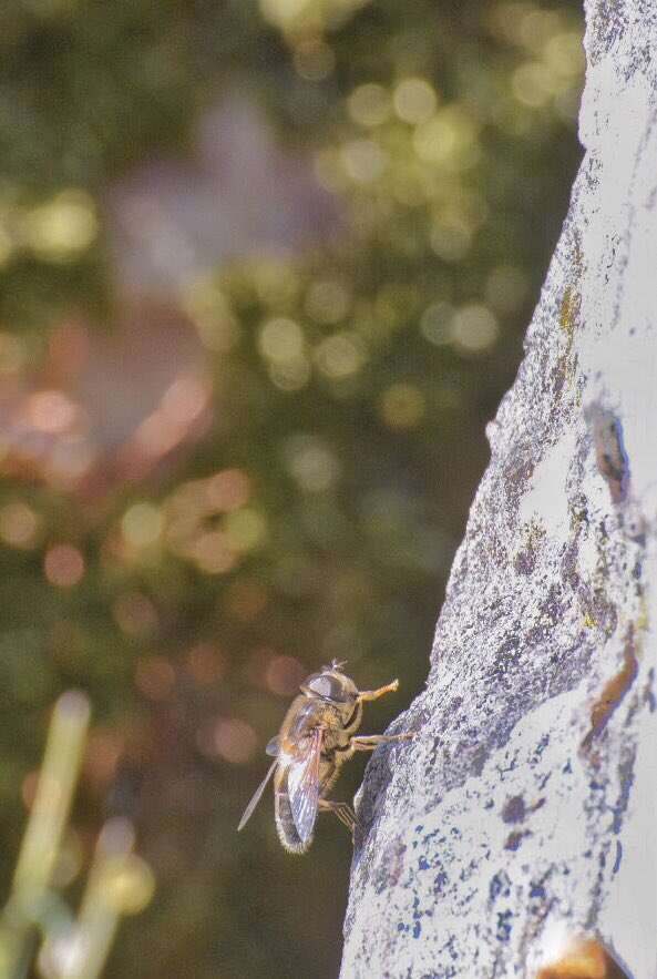 Mold Plastic Reduction tweet media