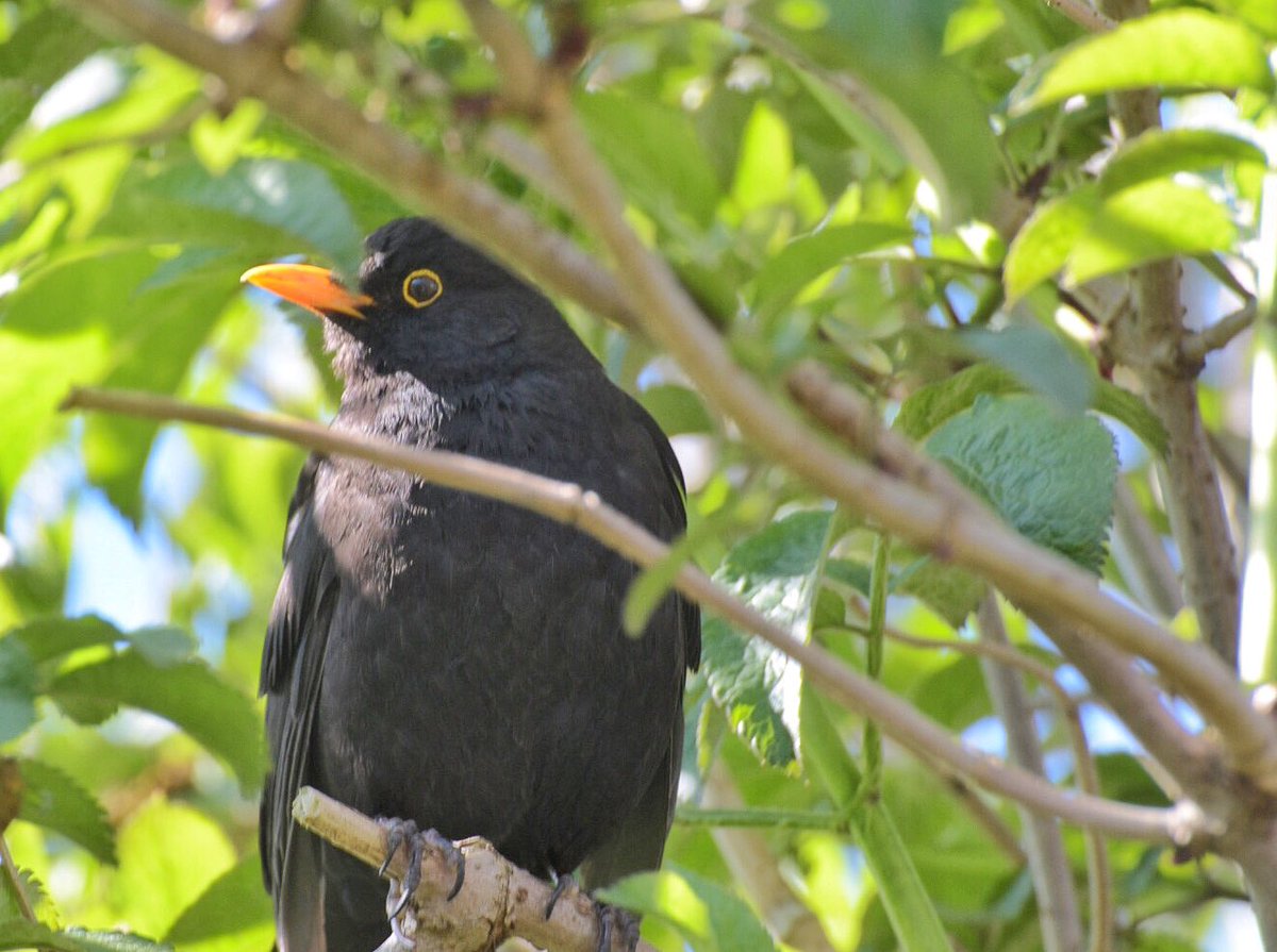 Mold Plastic Reduction tweet media