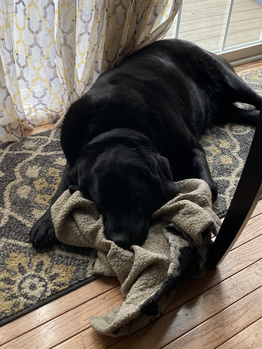 mlittlemath's tweet image. Even this guy is sleepy the Monday after spring break.