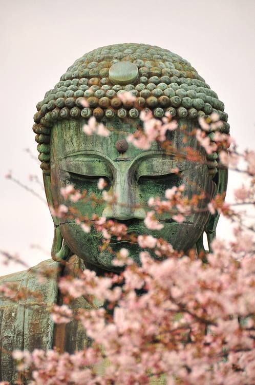 benerhardart's tweet photo. Daibutsu #Buddha @ Kōtoku-in #Temple @ Kamakura, #Japan #art #arts #photography #artlovers #yoga #travel #travels #travelphotography #photographer #photographers #Buddhist #Buddhism #spiritual #spirituality #yogaduringlockdown #yoganet #design #designer #inspiration #motivation https://t.co/6SrZlAapjb