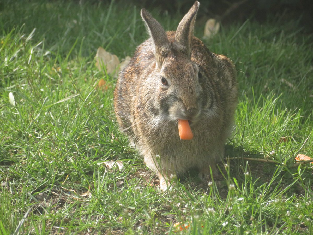 Wendy Wansor tweet media