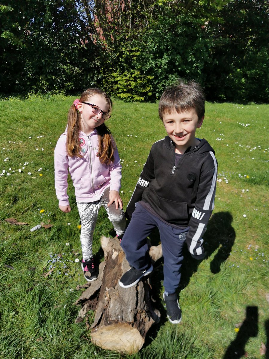 clairestrutt81's tweet photo. @epakangaroosy1 hi, where back to school work today after the easter holidays we've been super busy we've planted flowers and sunflower seeds which have come through already, we've made Easter buns and eaten lots of chocolate,  hope you had nice easter love poppy strutt x https://t.co/SdAMIkAzVb