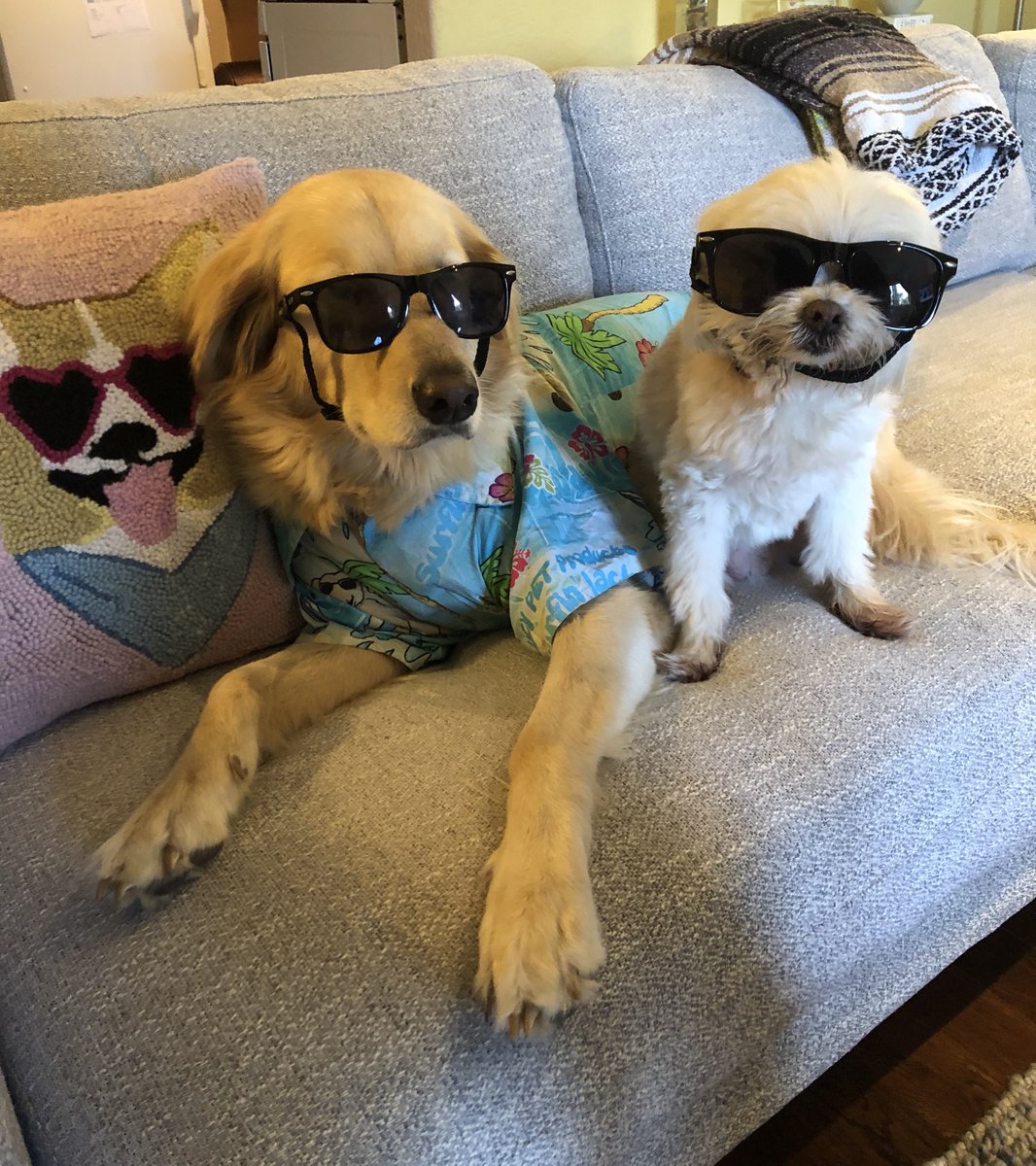 I call this one “Three’s Company” 😎😎😎