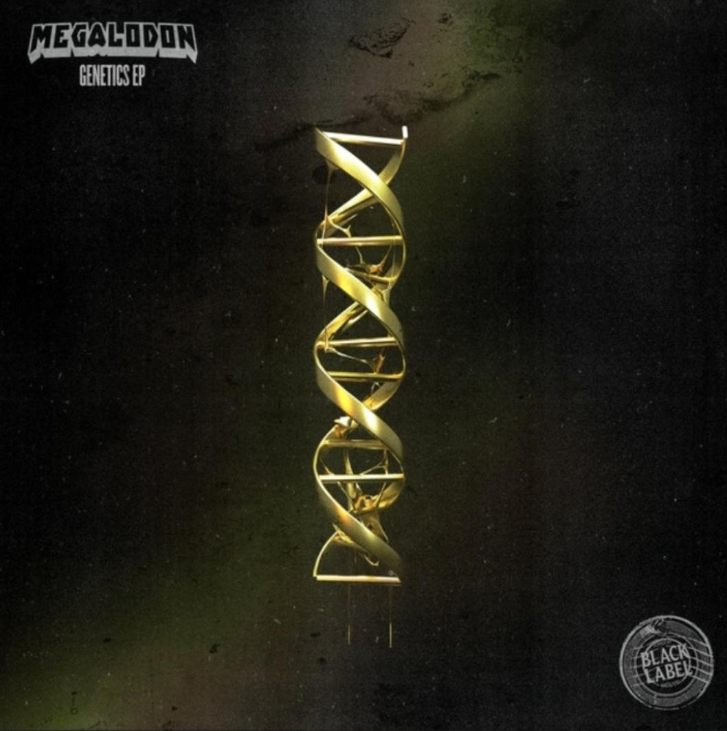 OnRepeatEDM's tweet photo. OnRepeat's pick for release of the week last week is Jabber Jaw from @megalodondubs https://t.co/bopykBEy8k