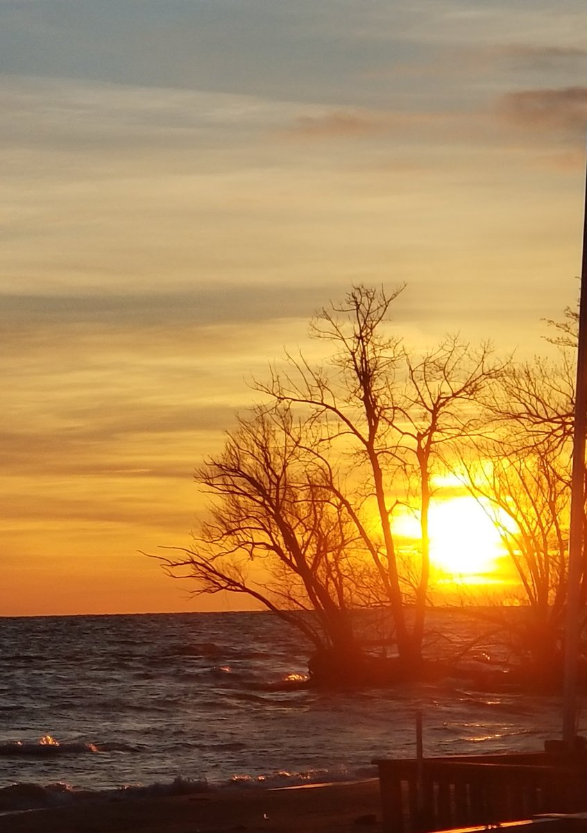 RareCat's tweet photo. The Christian life is the joyful life.
Rejoice in the Lord always. -Philippians 4:4
#JoyIs1OfTheMarksOfATrueBeliever
#TopOfTheWeek2U
#HappyGoSnappyMonday
#HABD ☮❤🙏 https://t.co/tHeagqJhK2