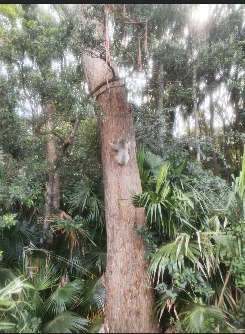 Ms. Bernstein tweet media