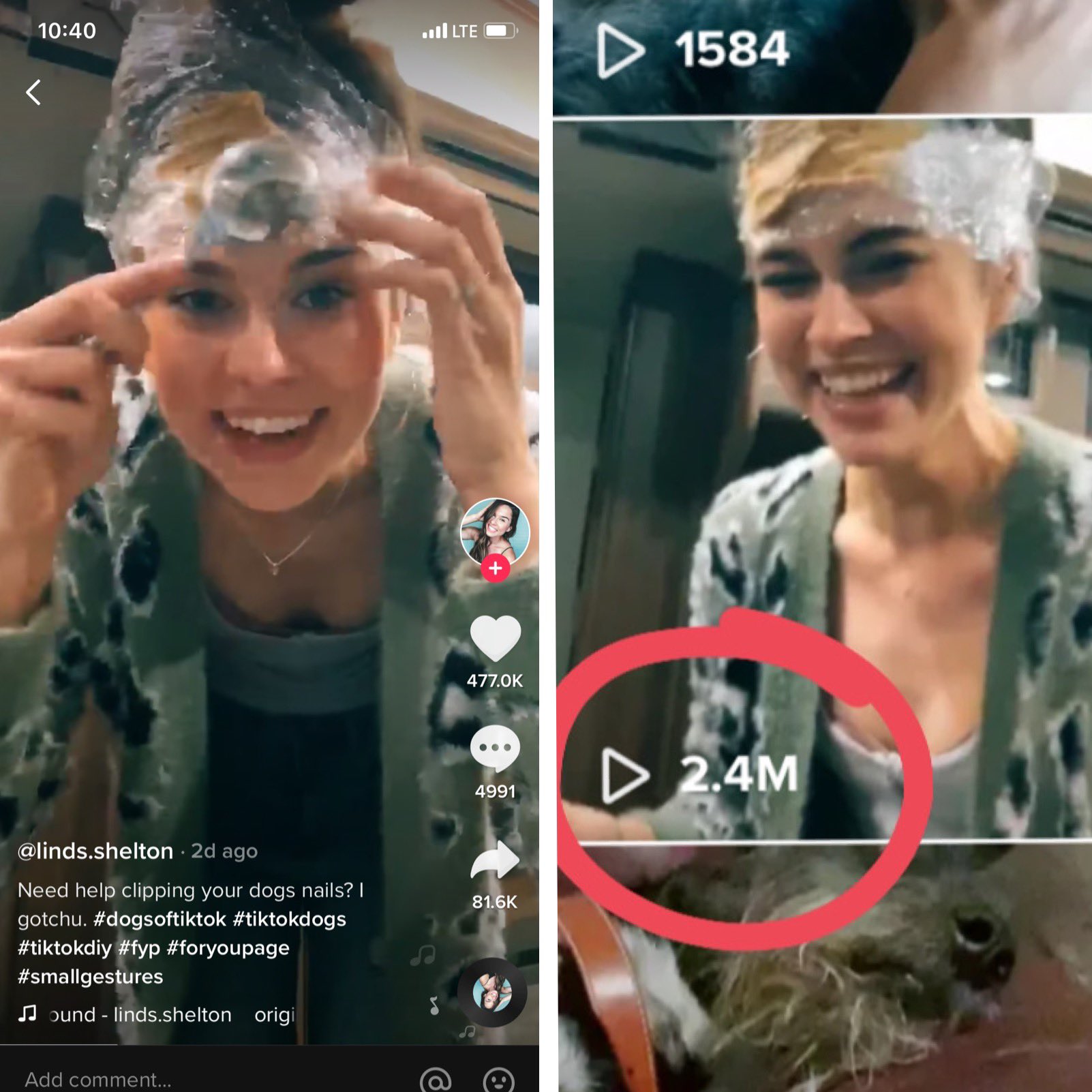 Vietbunny'S Circus Scandal: Leaked Tiktok Videos Go Viral - z5il5gi