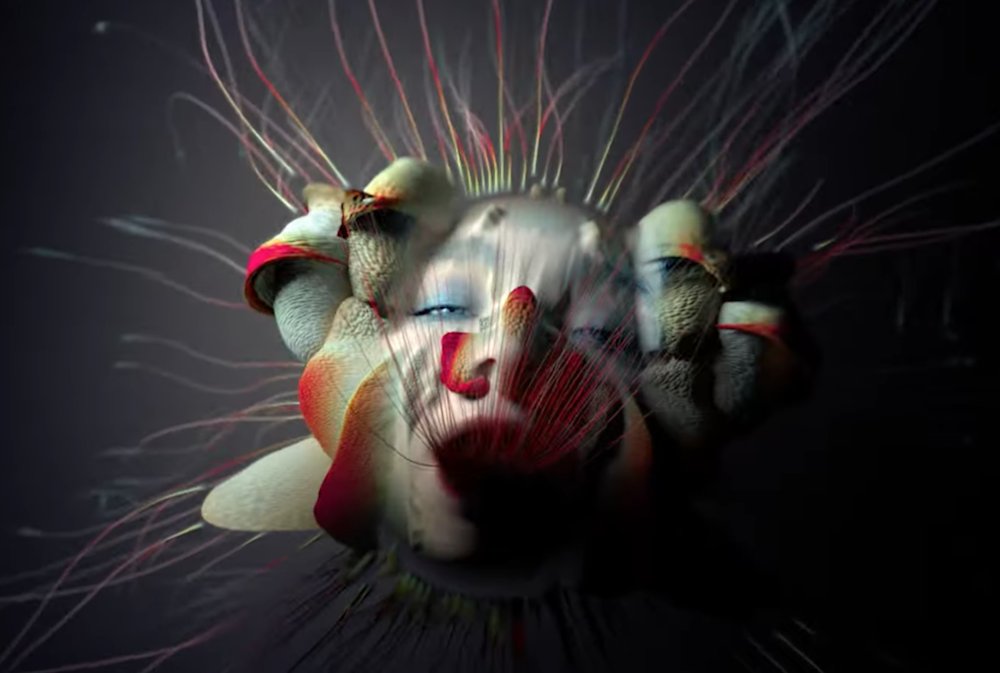 Tabula Rasa (2019)The video portrays Björk's face superimposed with a colorful mass, whose features resembles flowers and mountains. The figure sprouts petals and fronds as it twists and billows through the air
