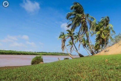 Welcome to Goobweyn village, where Jubba river & the Indian Ocean meet.  #VisitSomalia  #Somalia  #Jubbaland