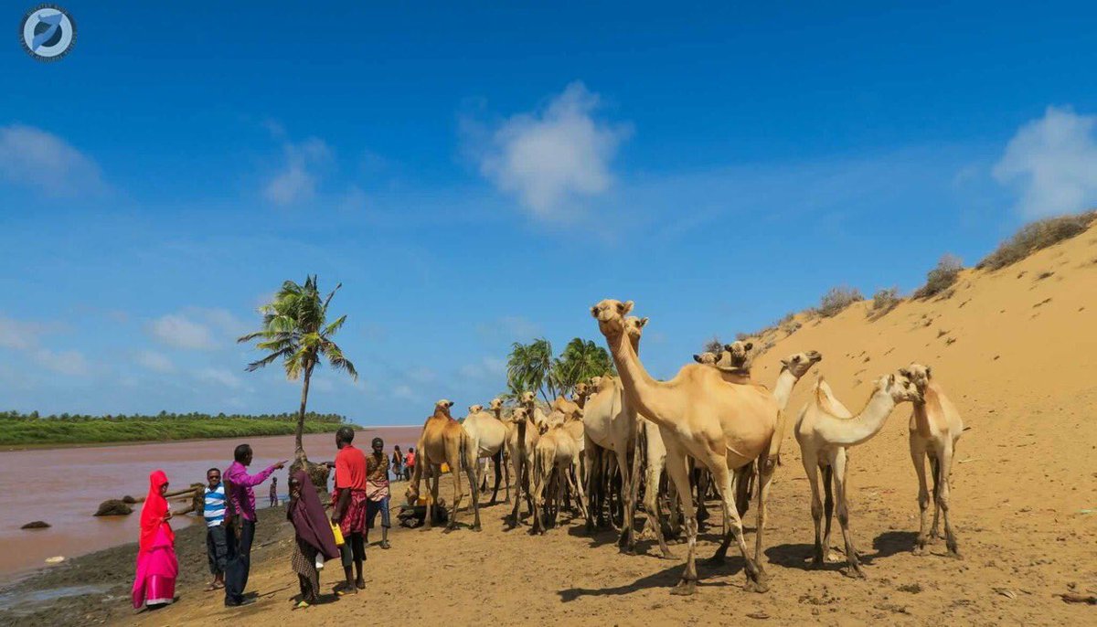 Welcome to Goobweyn village, where Jubba river & the Indian Ocean meet.  #VisitSomalia  #Somalia  #Jubbaland