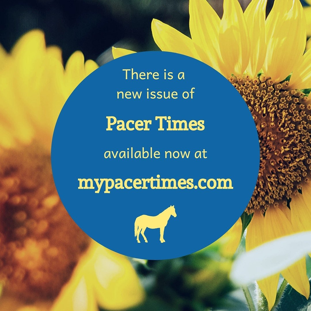 pacertimes's tweet image. This issue is full of hard news, features and opinion columns. Check it out now at mypacertimes.com!
#pacertimes #usca #uofscaiken #uscaiken #aiken #newspaper #studentjournalism #journalism