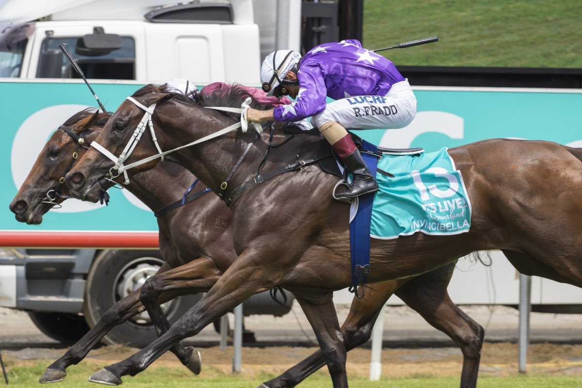 JoeSeward1's tweet photo. The brilliant and ultra tough Australian Mare #INVINCIBELLA 🇦🇺 RETIRES AFTER BANKING $3M
No denying this Group One-winning mare  will be the star attraction in the @mmsnippets Mares Sale.
She's been prolific moneyspinner for @cwallerracing @StarTbreds 
#INVINCIBELLA
#HorseRacing https://t.co/uJfI07OokZ