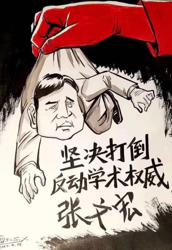 坚决打倒反动学术权威张文宏 是什么用心 是文革2 0吗 新 品葱