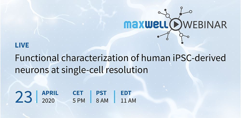 mxwbio's tweet image. Join the first #MaxWellWebinar Thursday April 23 to learn about our #microelectrodearray technology and the characterization of human #iPSC -derived #neurons on our #highresolution functional imaging platform. Register 👉 buff.ly/2xzfNAU #ephys #electrophysiology #webinar