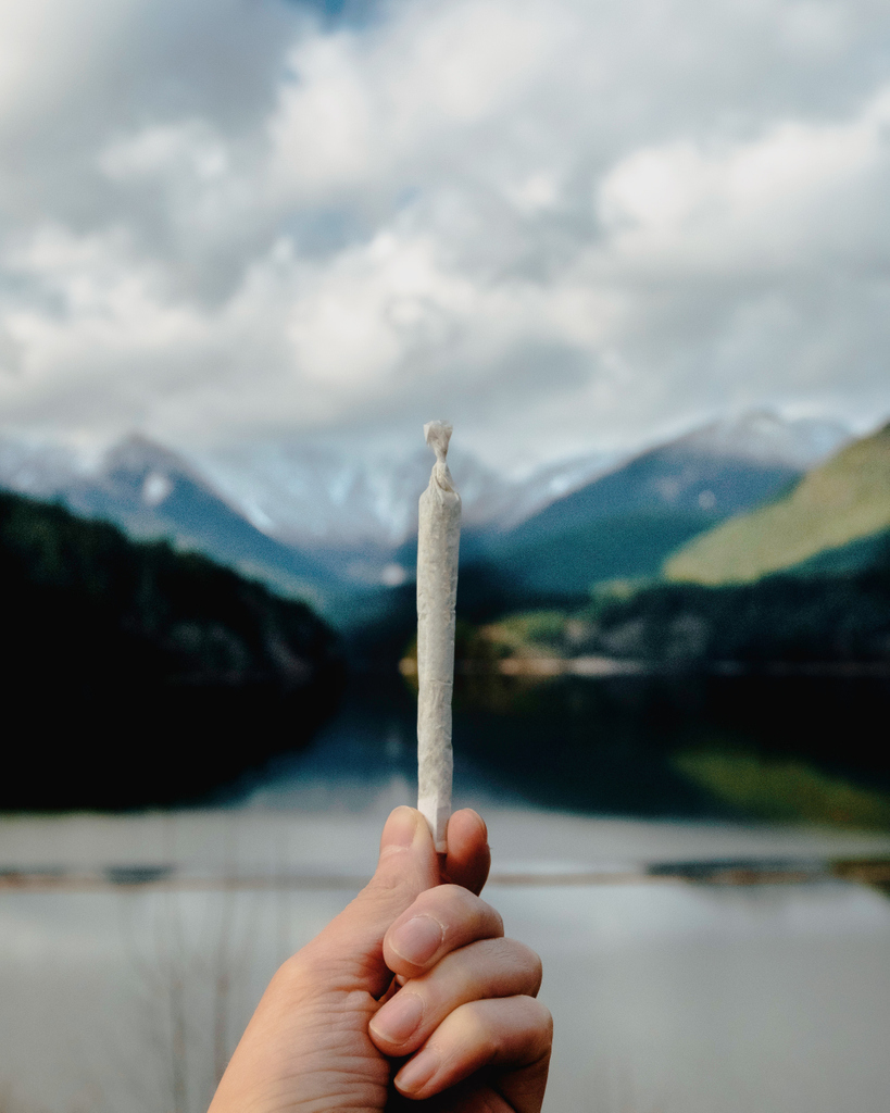 budexpressnow's tweet photo. We may not together physically, but our community will always be connected through spirit! 💚💚Let's get the virtual party started!! 🎉 🎉
Have a great 420 everyone! Stay lifted! 🌿🌿
#BudExpressNow #celebration #medicalbud #plantmedicine #happy420 https://t.co/YNgHmcvdXT