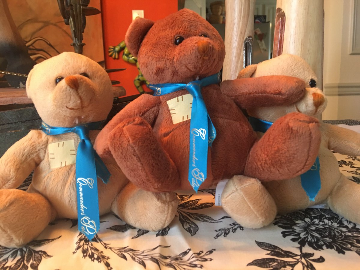 We're so happy to be able to donate teddy bears to children of the @Ochsner frontline employees who go to Kid-Cam camps around the state and Gulf Coast. They even dressed up for the occasion with their Commander's Blue ties 💙👔💙