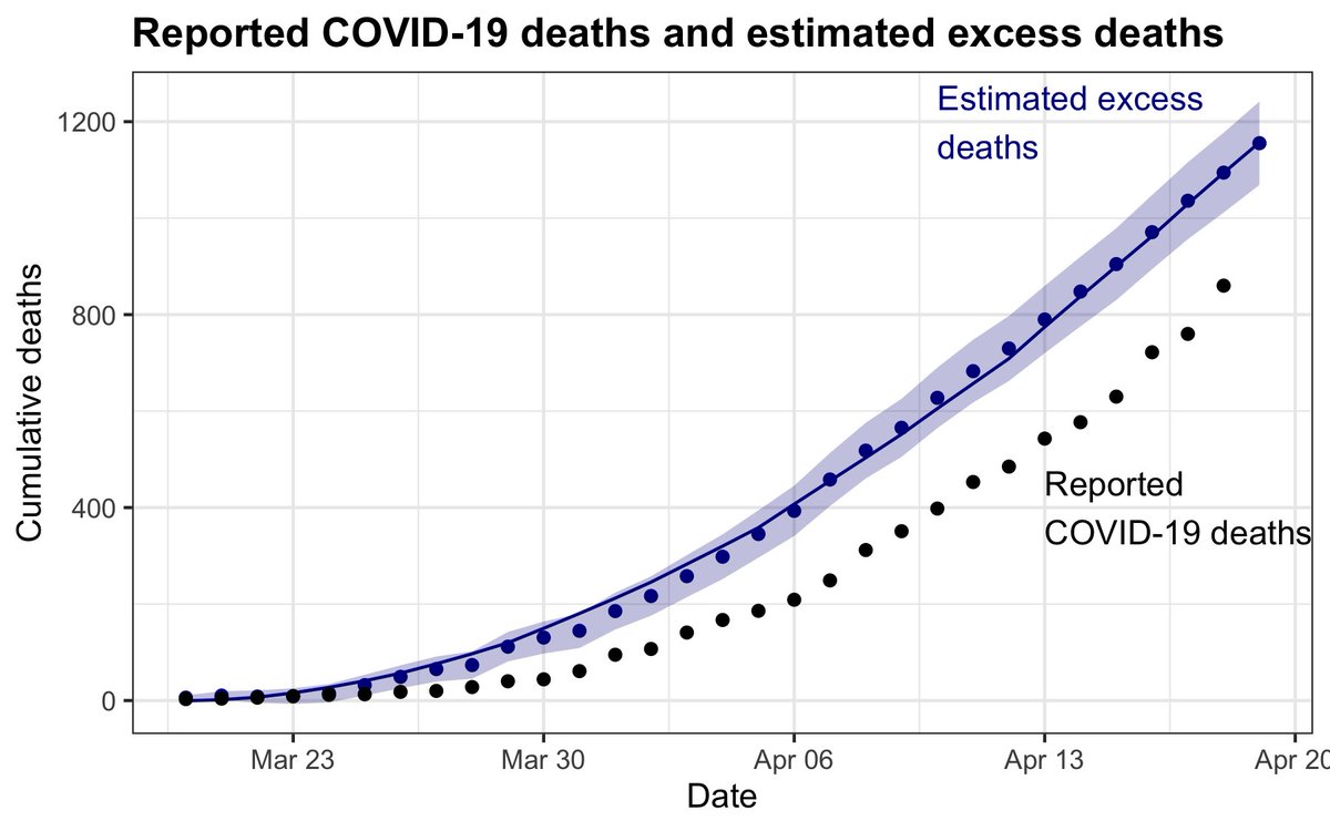 Rafael Irizarry tweet media